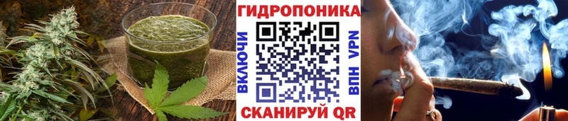Canna-Cookies марихуана Нижний Тагил