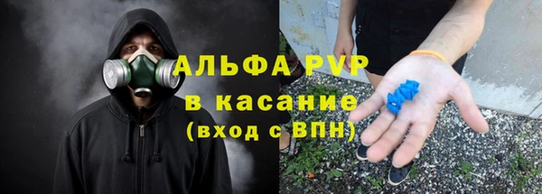 ПСИЛОЦИБИНОВЫЕ ГРИБЫ Бородино