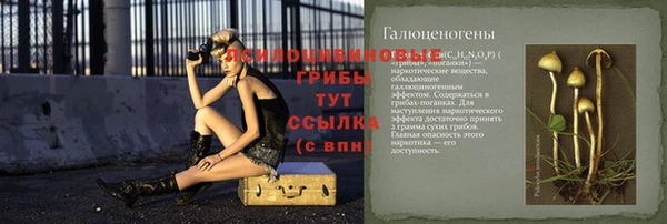 ПСИЛОЦИБИНОВЫЕ ГРИБЫ Бородино