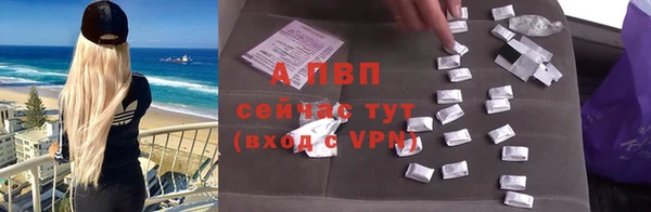 ПСИЛОЦИБИНОВЫЕ ГРИБЫ Бородино