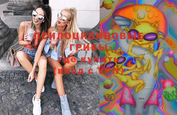 ПСИЛОЦИБИНОВЫЕ ГРИБЫ Бородино